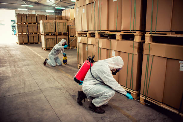 Best Wildlife Control Services  in Pompano Beach, FL