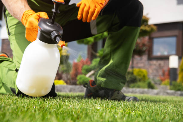 Best Rat Extermination Near Me  in Pompano Beach, FL
