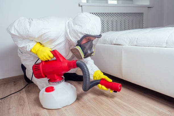 Best Local Pest Control Services  in Pompano Beach, FL