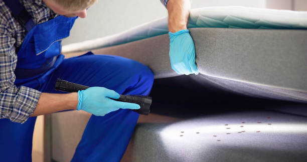 Best Residential Pest Control  in Pompano Beach, FL