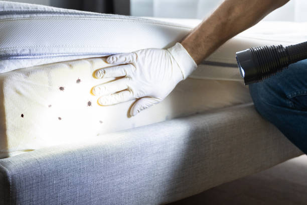 Best Affordable Pest Control Services  in Pompano Beach, FL