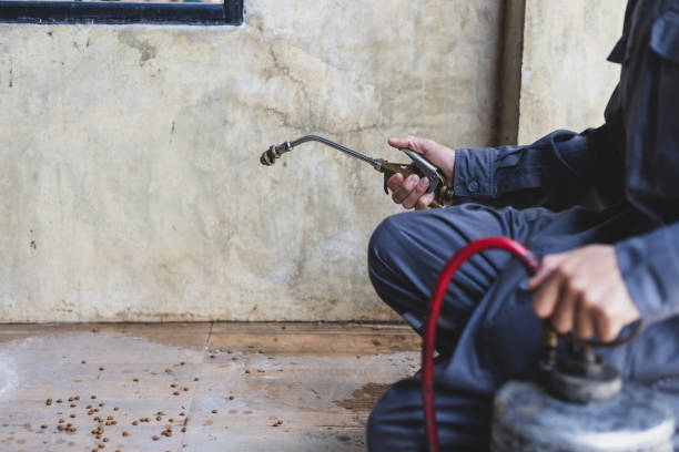 Best Commercial Pest Control Services  in Pompano Beach, FL