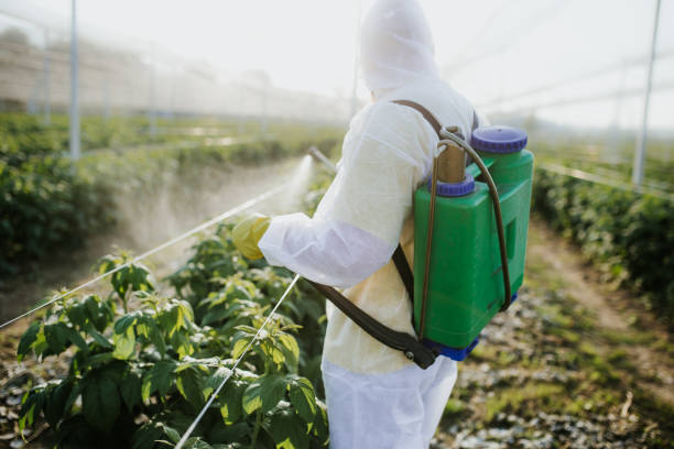 Best Exterminator Services  in Pompano Beach, FL